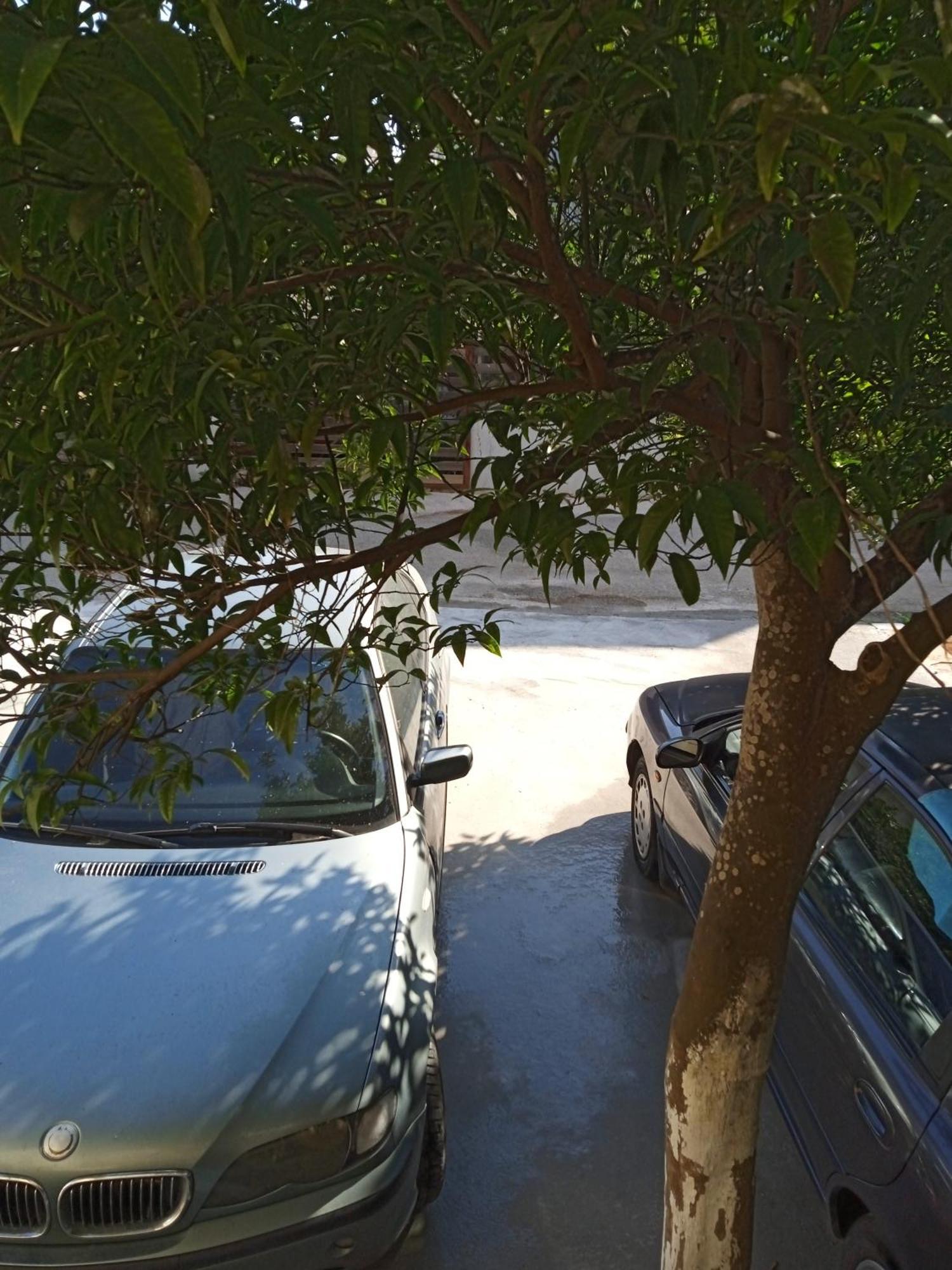דירות פרבזה Αlexandras House מראה חיצוני תמונה