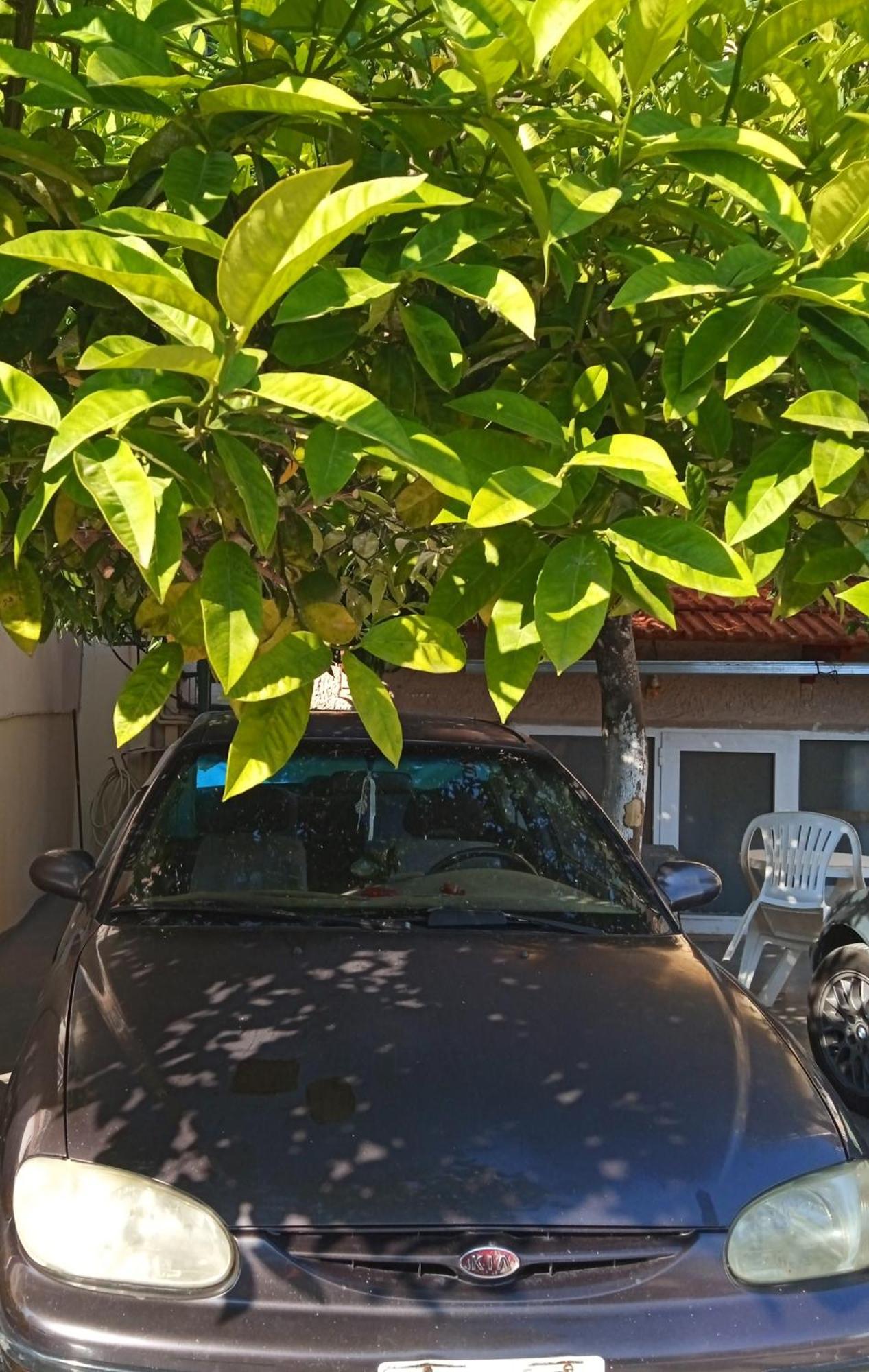 דירות פרבזה Αlexandras House מראה חיצוני תמונה