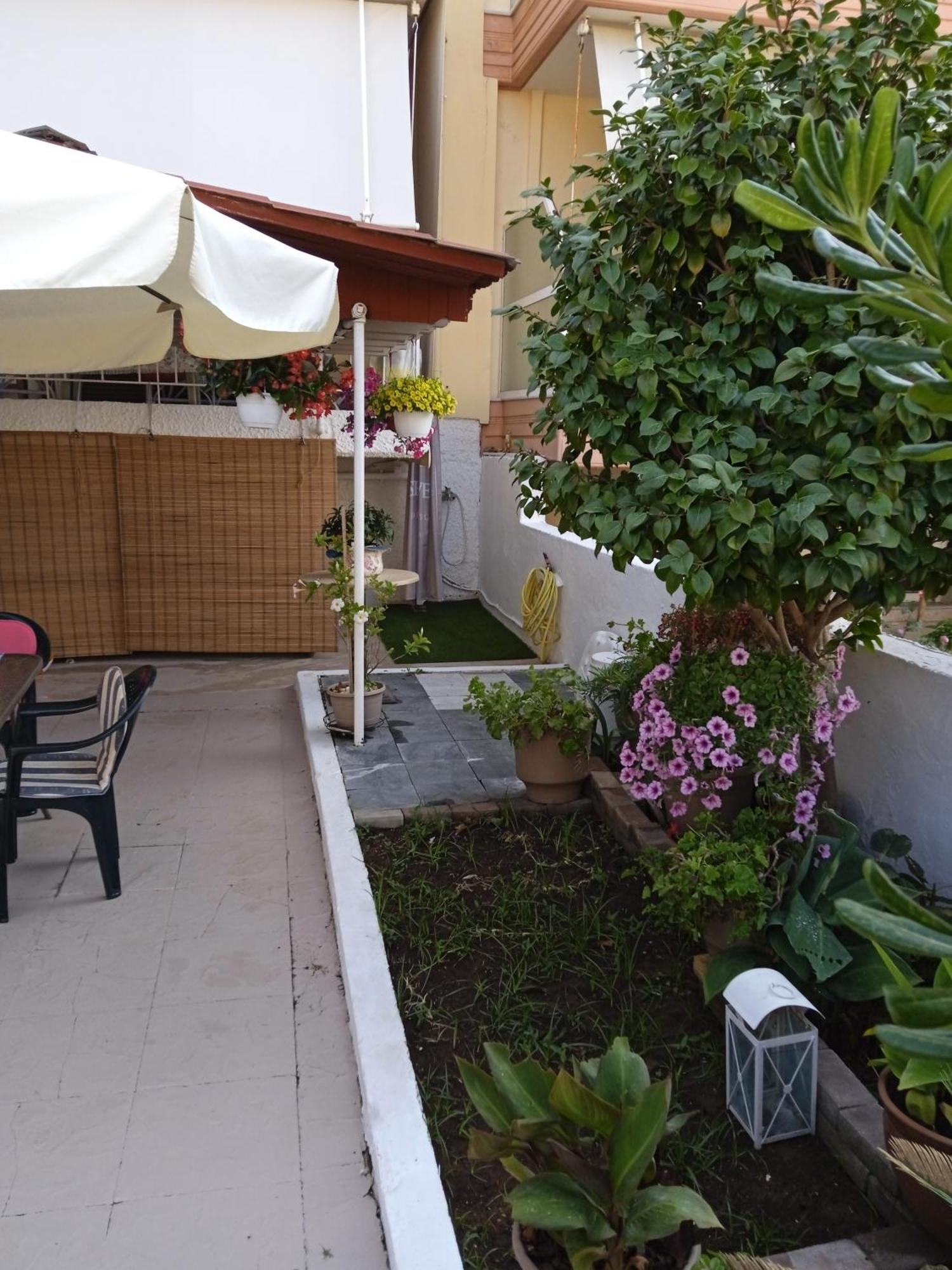 דירות פרבזה Αlexandras House מראה חיצוני תמונה