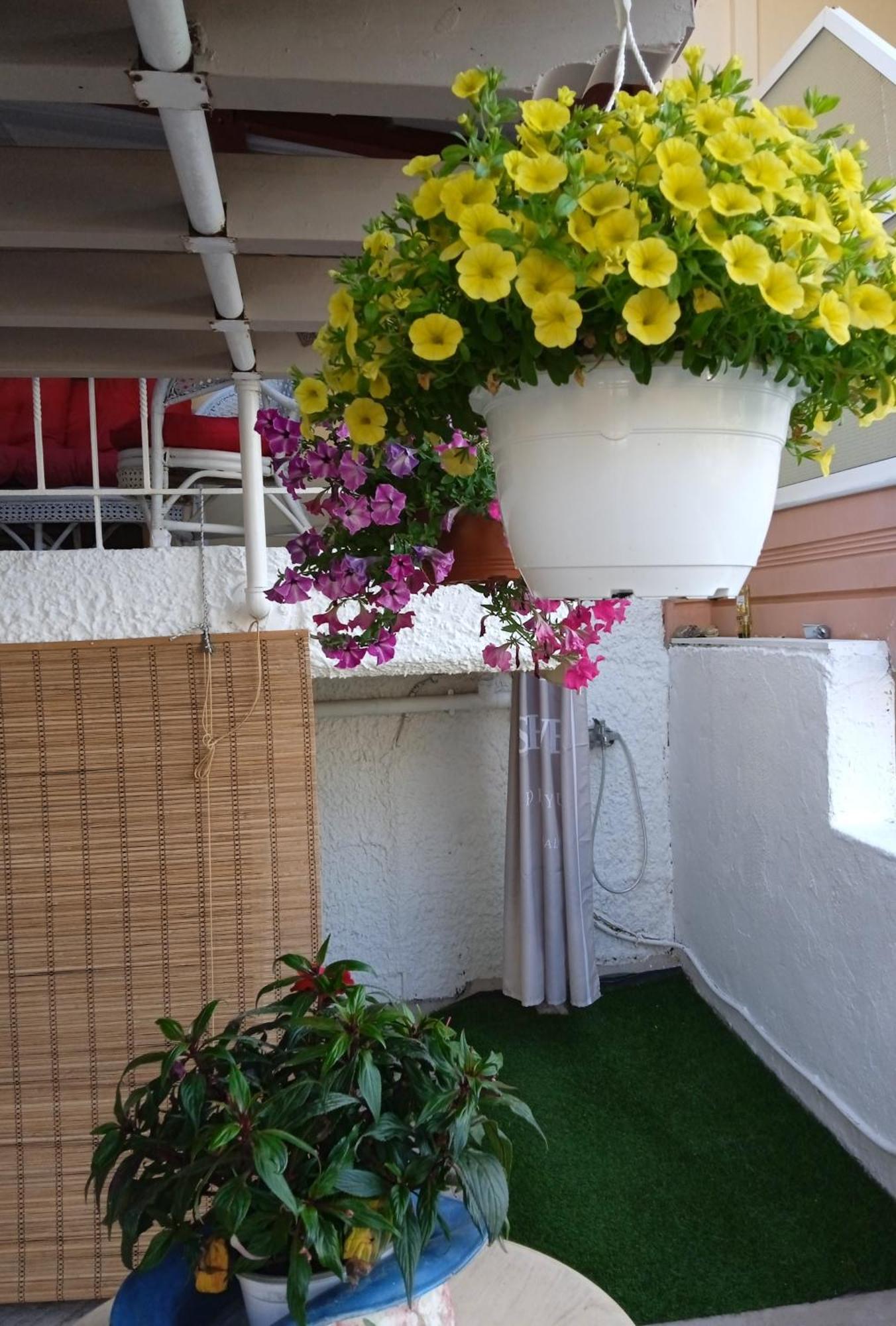 דירות פרבזה Αlexandras House מראה חיצוני תמונה